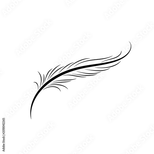 Minimalist Hand-Drawn Feather Illustration, Black and White Ink Sketch Vector Art