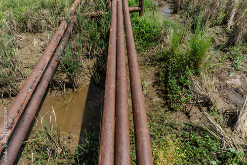 Принти на полотні Rusty pipes lay across a muddy field surrounded by tall grass and water, showing