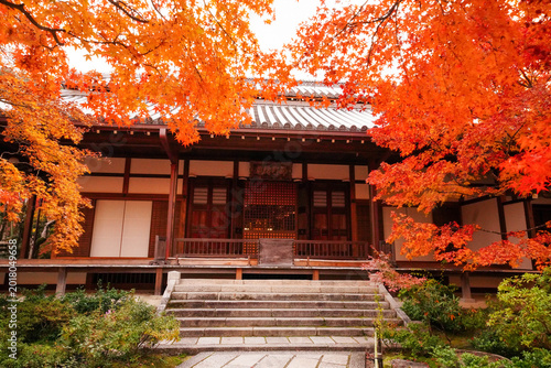 常寂光寺本堂前の楓の紅葉