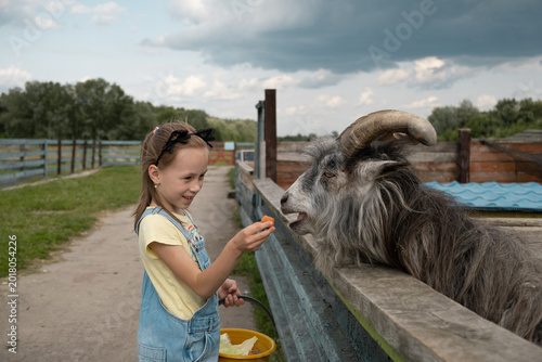 Cute little girl feeding a goat near wooden fence, holding bucket, rural farm scene showing child and animal interaction