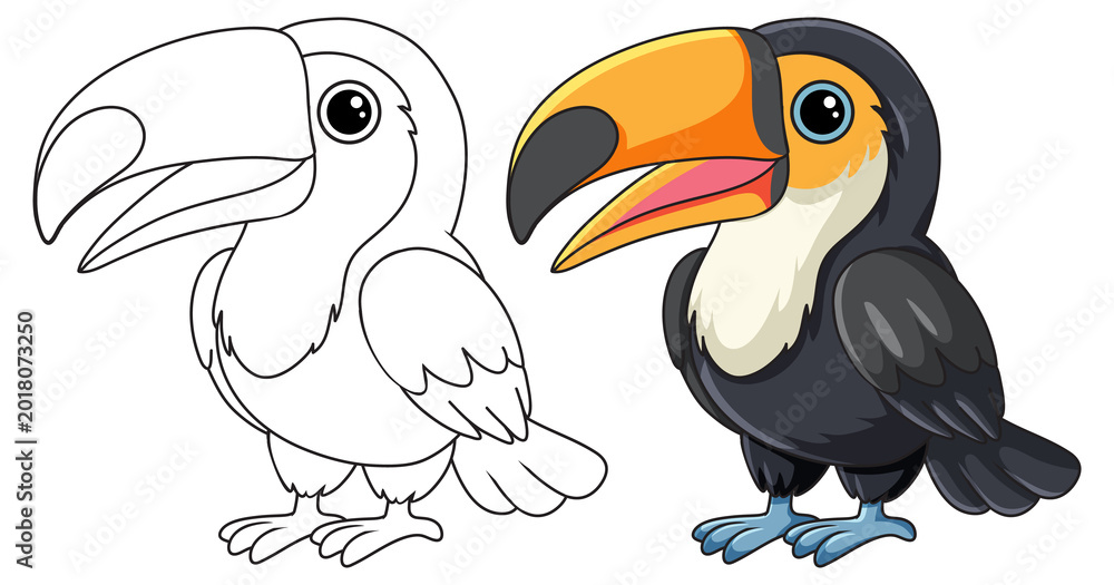 Fototapeta premium A cartoon toucan bird presented in both full color and black and white outline versions