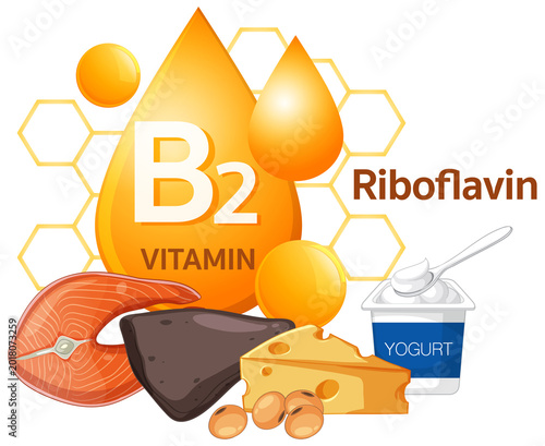 Fotografi Vector illustration of vitamin B2 riboflavin foods including fish, liver, cheese