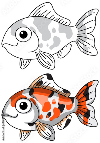 Two cartoon koi fish illustrations presented in colored and black and white line art styles