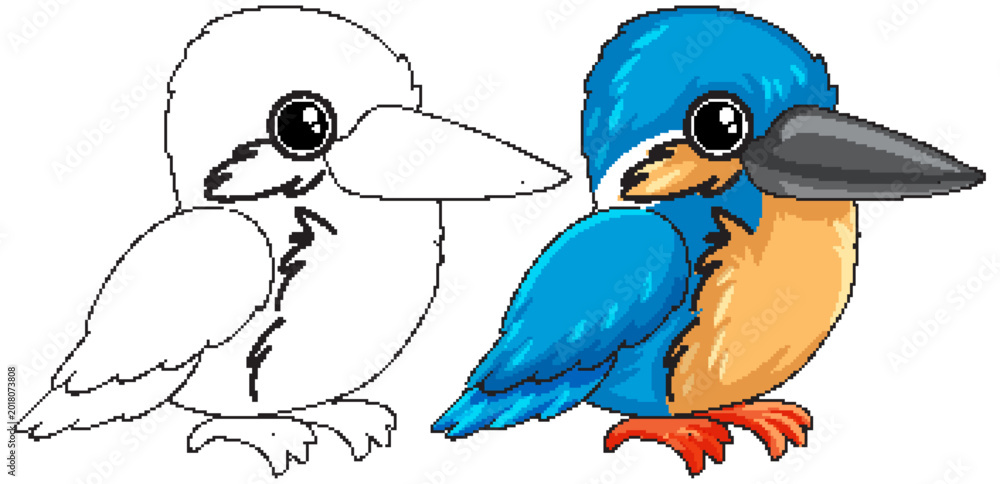 Fototapeta premium Cute Cartoon Kingfisher Bird Illustration with Black and White Outline Version