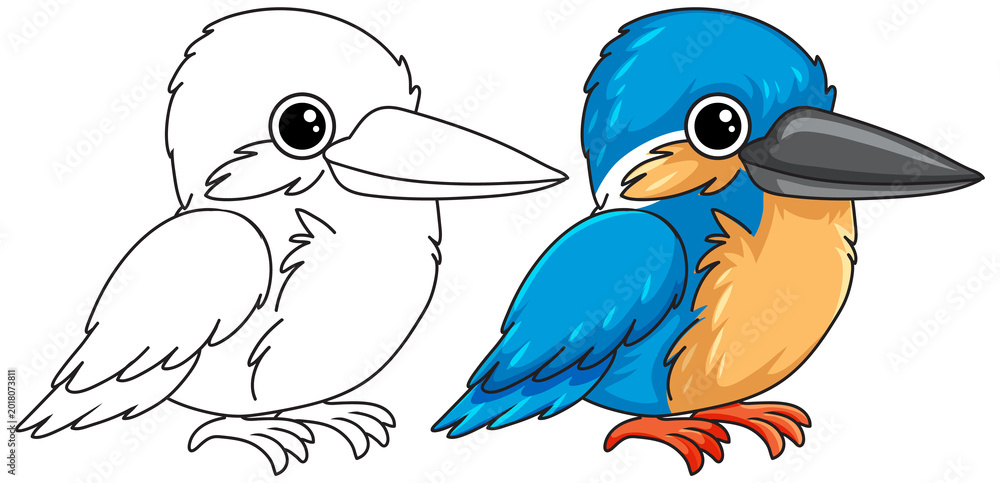 Fototapeta premium A colorful cartoon kingfisher bird sits beside its black and white line art coloring version