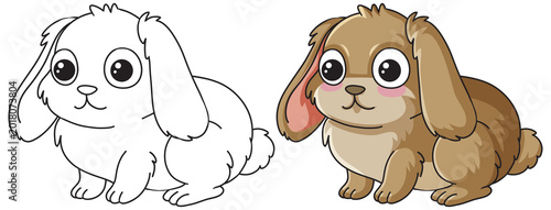 A side-by-side comparison of a black and white line art rabbit and colored version