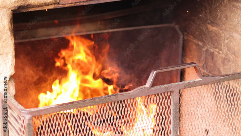 Fototapeta premium Bright Orange Flames Burning Behind a Metal Fireplace Safety Screen
