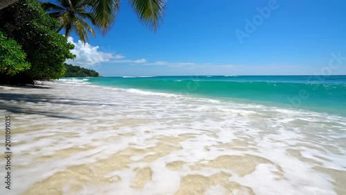 A picturesque tropical beach scene showcases pristine white sand, turquoise waters, and lush palm trees under a clear blue sky, evoking a sense of tranquility and paradise.