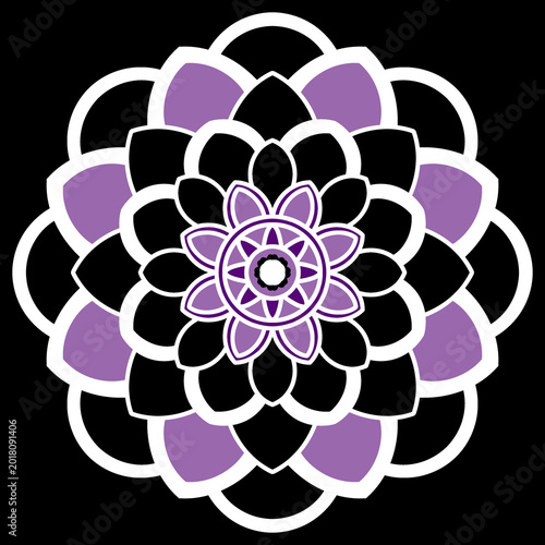 abstract floral background black