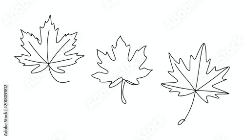 One continuous line illustration of an Maple Leaves set , isolated on white background.