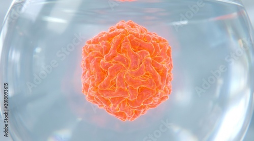 Orange fibrous sphere in clear liquid under microscope