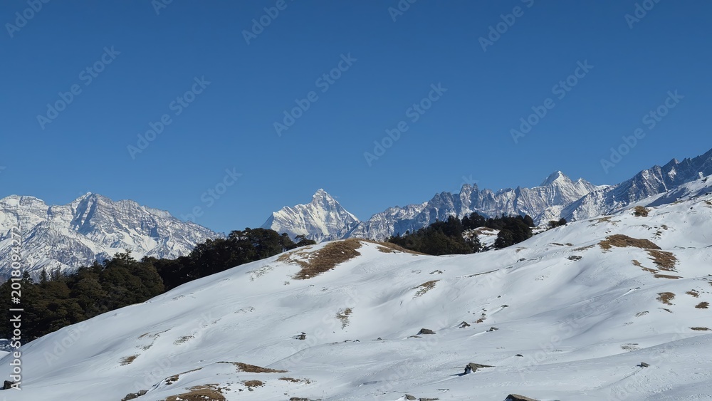 Fototapeta premium Scenic view of Nanda Devi peak from Gorson Bugyal with snow covered ground and pine forest in Uttarakhand, India.