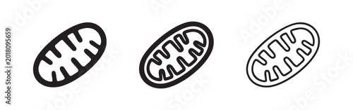 Foto Mitochondria Icon Collection