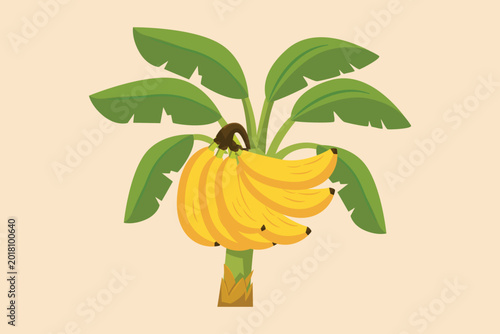 A banana tree full of ripe bananas.Tropical fruits concept. Single line draw design. Vector graphic illustration