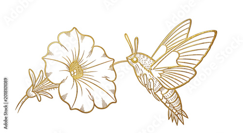Golden Hummingbird, Flower Illustration, Nature Icon, Vector Graphic