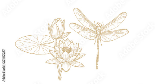 Golden dragonfly, lotus flower, and lily pad vector illustration, elegant minimalist design, gold line art, nature icons