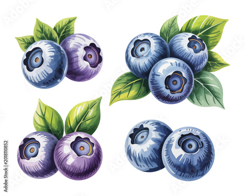 Slika na platnu Watercolor Blueberry Set Illustration, Berry Fruit Clipart, Isolated on White ba