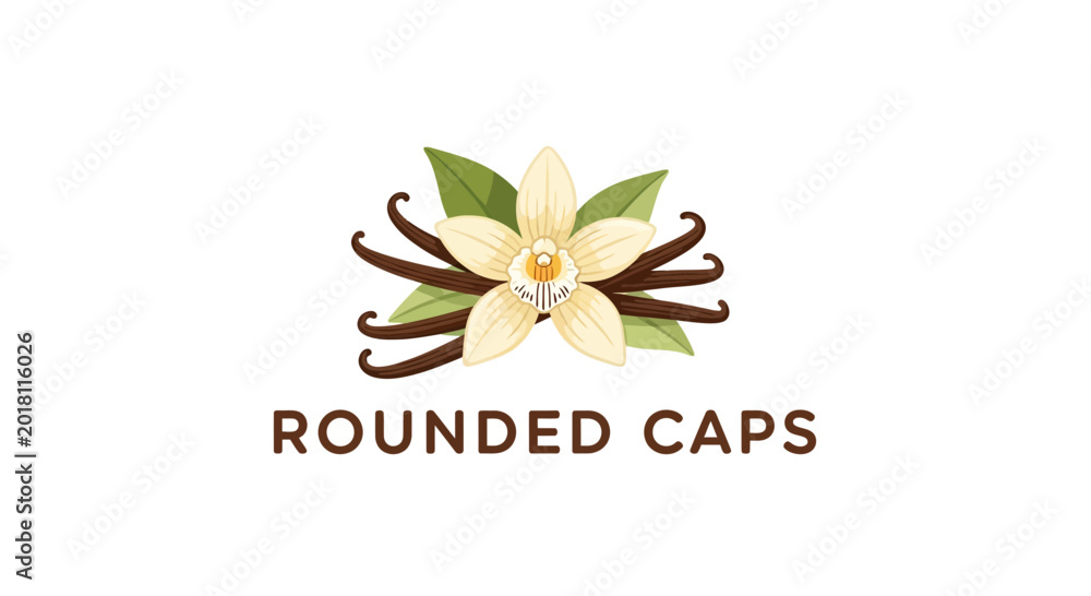 Obraz premium Vanilla flower and beans vector illustration for design and culinary themes