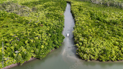 Fotografía Aerial View of a Boat Cruising Through Dense Tropical Mangrove Forest