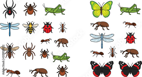 Canvas-taulu Colorful Cartoon Insect and Bug Collection Set with Spider, Butterfly, Bee, Lad