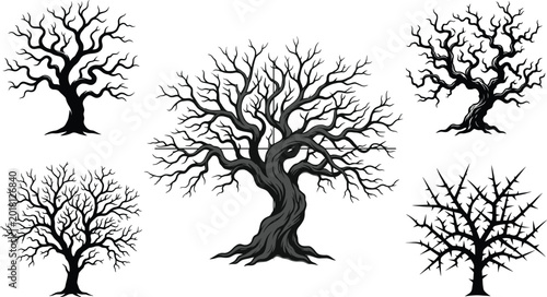 Konstfotografi Collection of Twisted Bare Tree Silhouettes with Creepy Dead Branches and Gothic