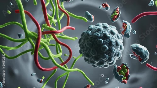 Microscopic view of cellular structures with tendrils and fragments in a fluid medium