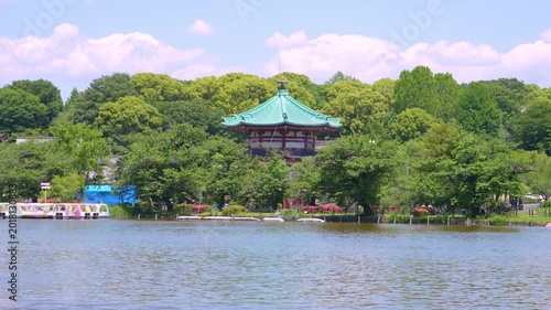 上野恩賜公園の不忍池