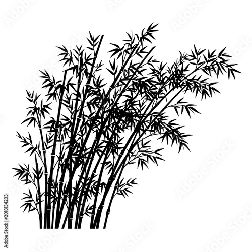 vector illustration of bamboo