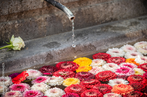 The beautiful rose filled fountain in Zurich at Easter