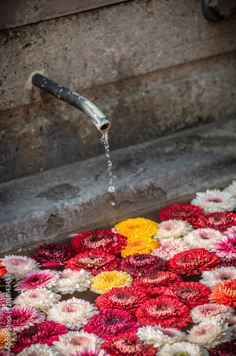 The beautiful rose filled fountain in Zurich at Easter