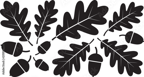 Autumn oak leaves with acorns fall season graphic design elements for natural decoration.