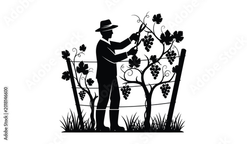 Quadro em tela silhouette of a vineyard worker pruning grape vines with shears in a field black