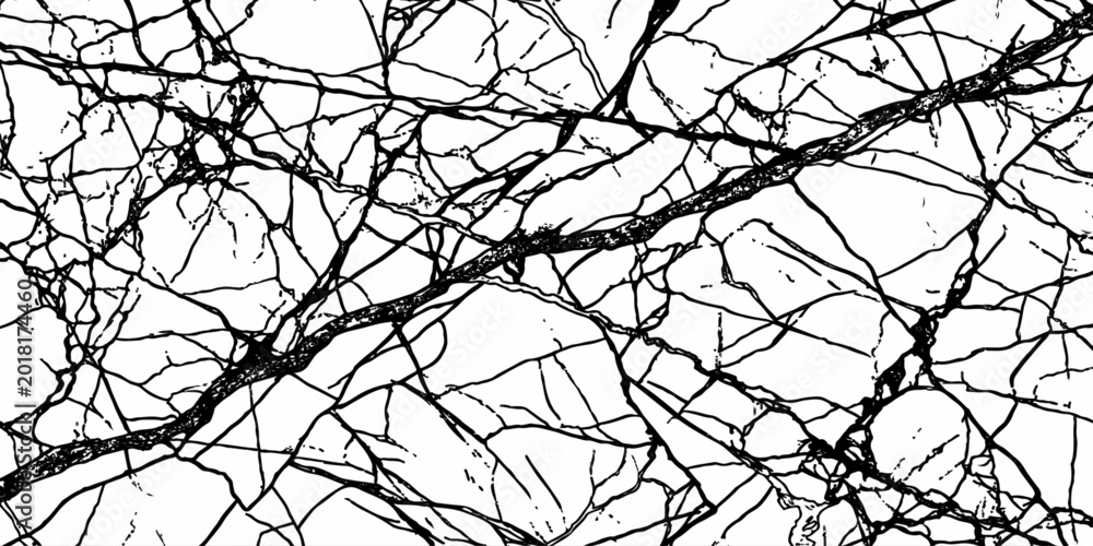 Obraz premium Abstract Black Branch Line Texture Background with Intricate Organic Crack Network Pattern.
