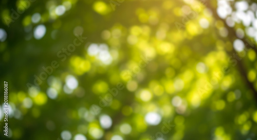 Blurred green nature bokeh background trees leaves sunlight outdoor summer ecology environment fresh forest abstract bright spring texture foliage park light soft wallpaper garden