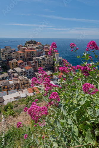 Manarola, Cinque Terre
