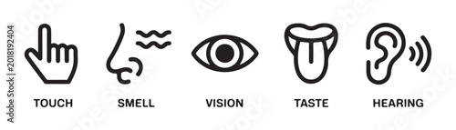Set of five senses icons including touch, smell, vision, taste, and hearing symbols.