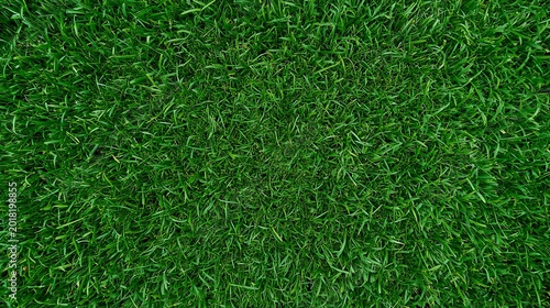 This image shows a close-up, top-down view of a vibrant green grass surface