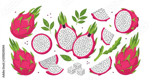 Fotografija Premium pink pitahaya dragon fruit collection vector illustration isolated on wh