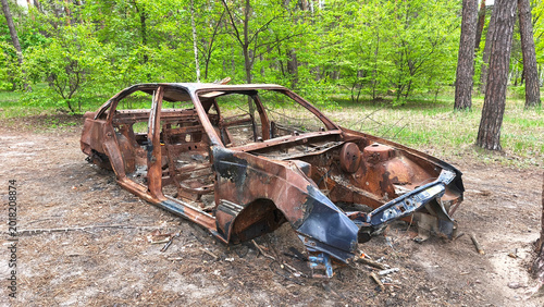 Bild auf Leinwand Abandoned burned car body rusting in a forest clearing, symbolizing pollution, d