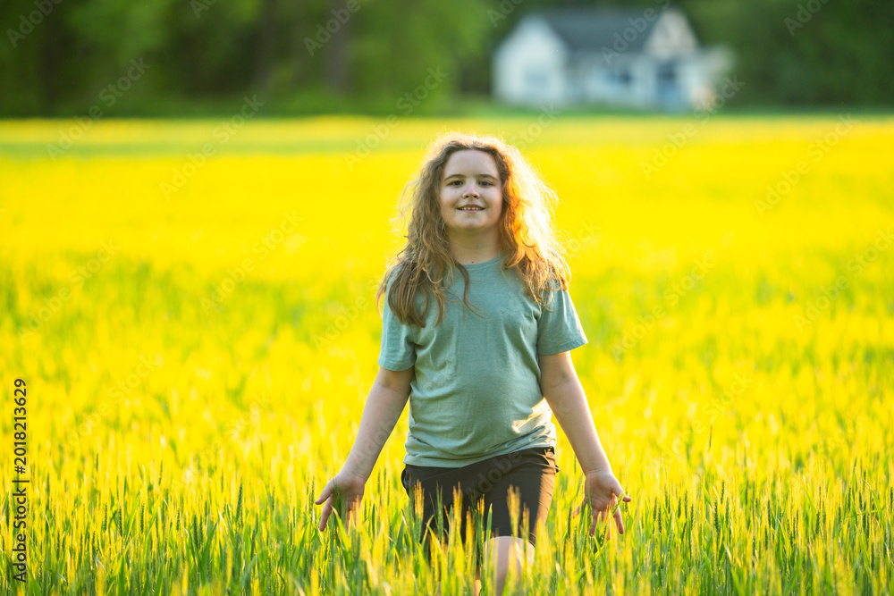 Naklejka premium Child walks through sunny field. Happy child enjoys countryside freedom. Child lifestyle feels healthy outdoors. Child activity supports peaceful childhood.