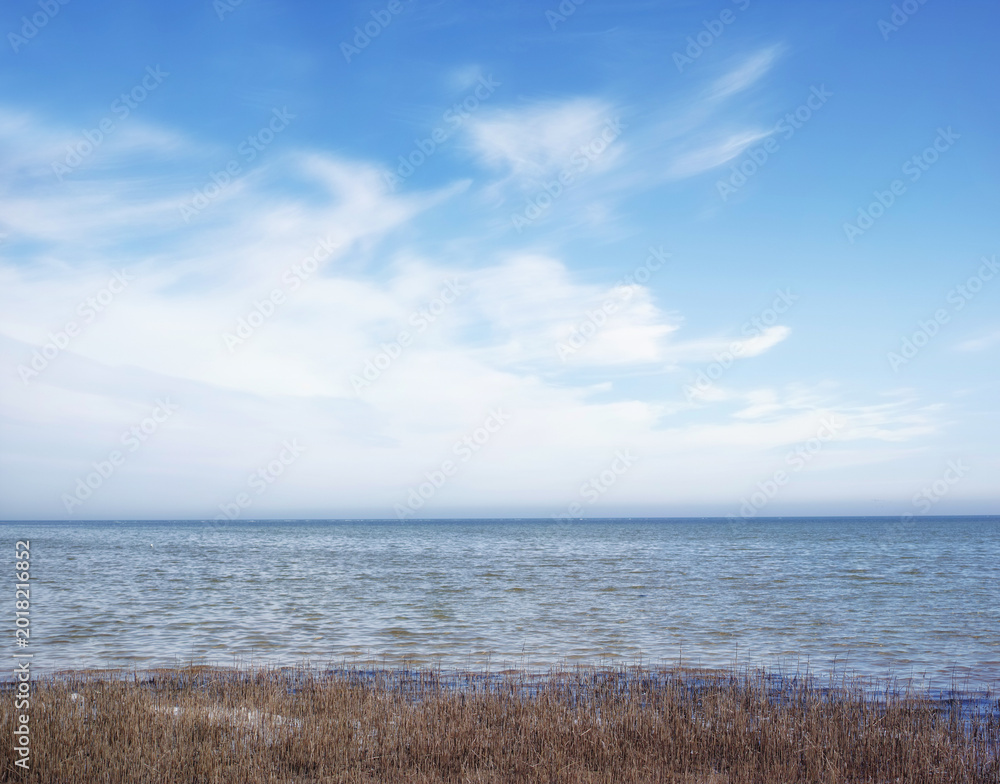 Naklejka premium Ocean, seascape and nature with horizon for coastline, sustainable environment and space. Beach, natural reeds and wilderness with blue sky, land conservation and water scenery of reservation