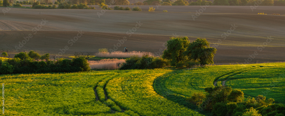 Obraz premium The intensely green spring fields of the Brandenburg region, Germany-Panorama