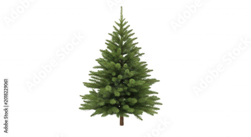 A single, isolated green christmas tree with dense pine needles and a brown trunk, centered against a solid black background