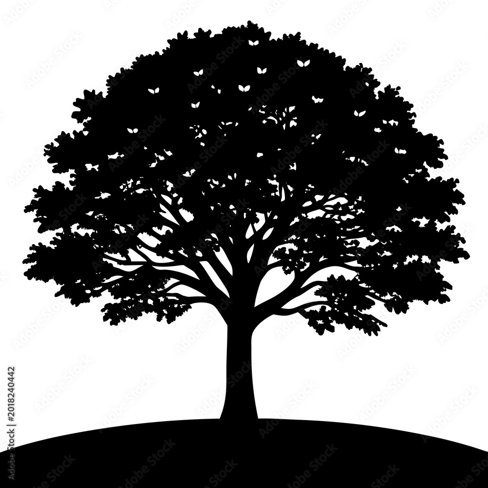 Fototapeta premium Realistic ancient lone tree in green meadow svg