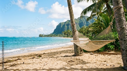 Tropical Paradise Beach in HAWAII with Hammock and Palms