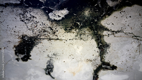 Schilderij op canvas Extensive moisture infiltration causing widespread fungal growth and severe stru