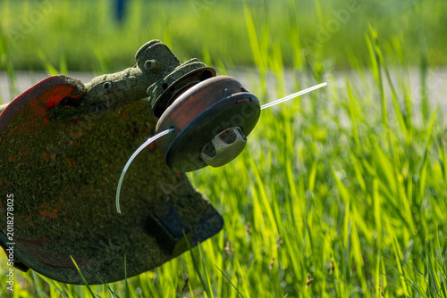 Tableau sur toile Garden trimmer maintenance and grass cutting process in the backyard