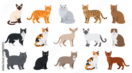 Cats Collection Diverse Feline Breeds Vector Illustration for Pet Lovers