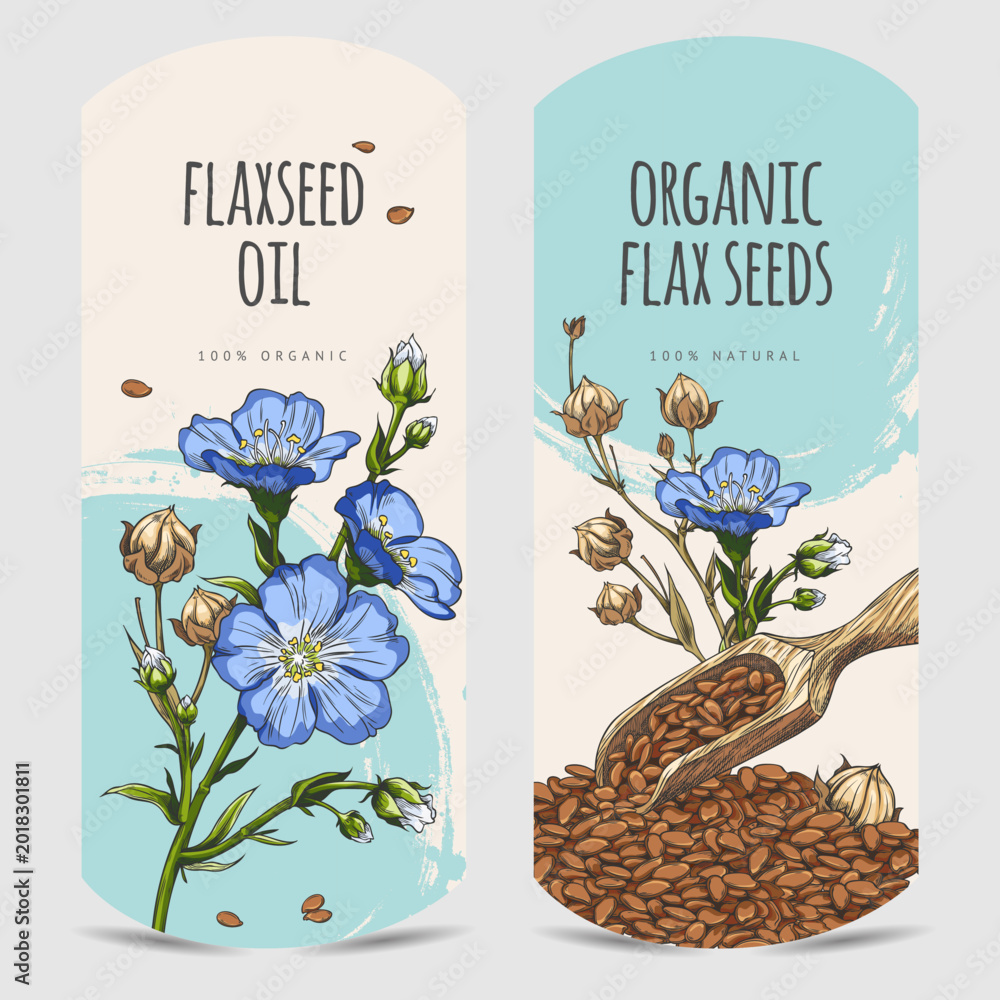 Fototapeta premium Flax seeds oil hand drawn vector label design, flax flowers with seeds in wooden scoop sketch, Linen organic superfood