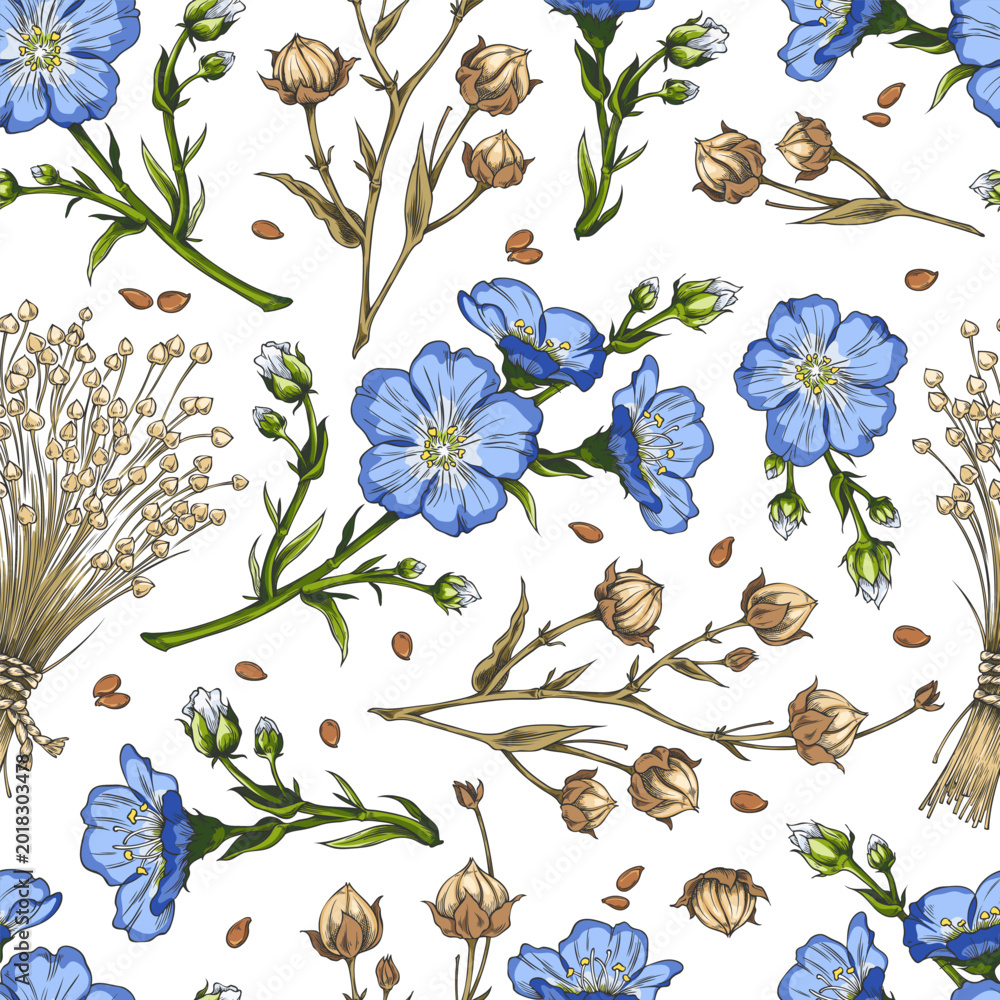 Fototapeta premium Flax blue flowers with dry seeds on stem sketch, vector hand drawn seamless pattern, superfood foliage medicinal herb